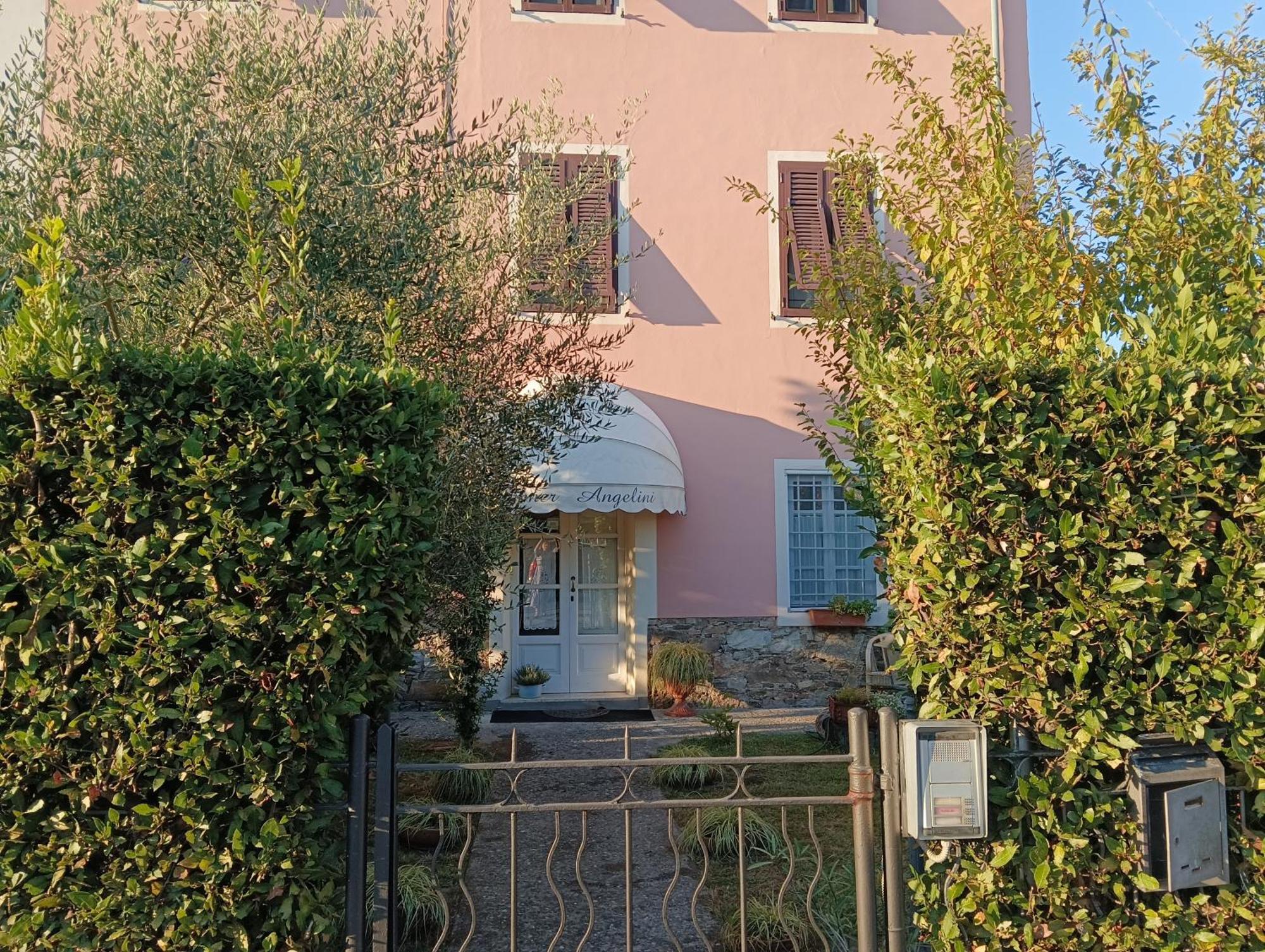 Angelini Lucca