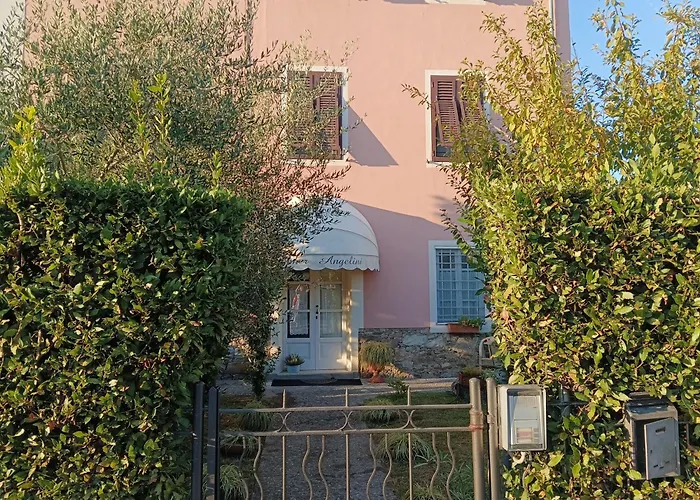 Angelini