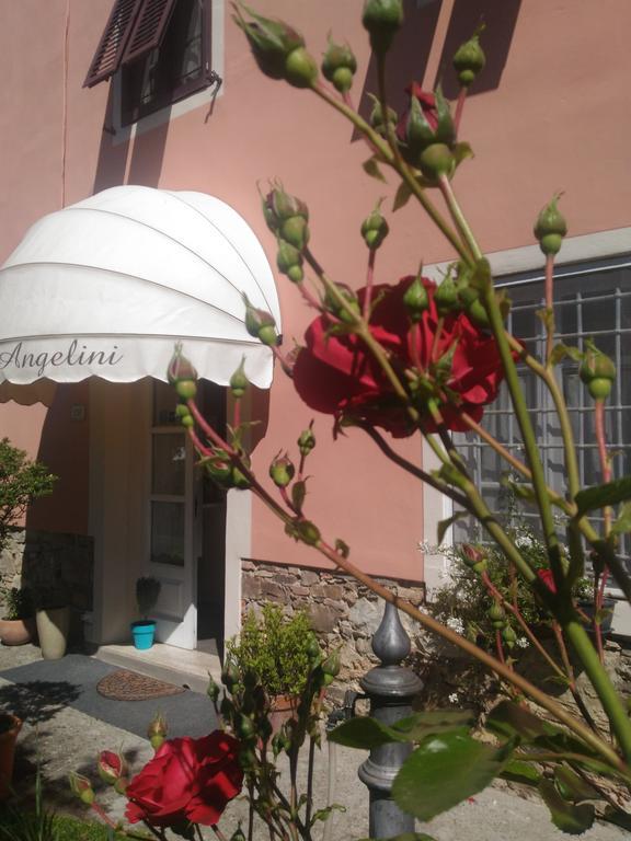 Gasthuis Angelini Lucca