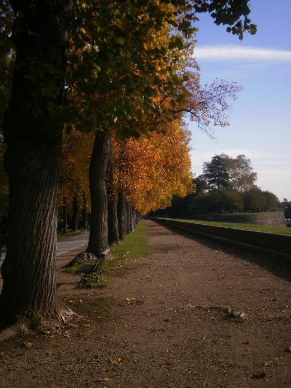Angelini Gasthof