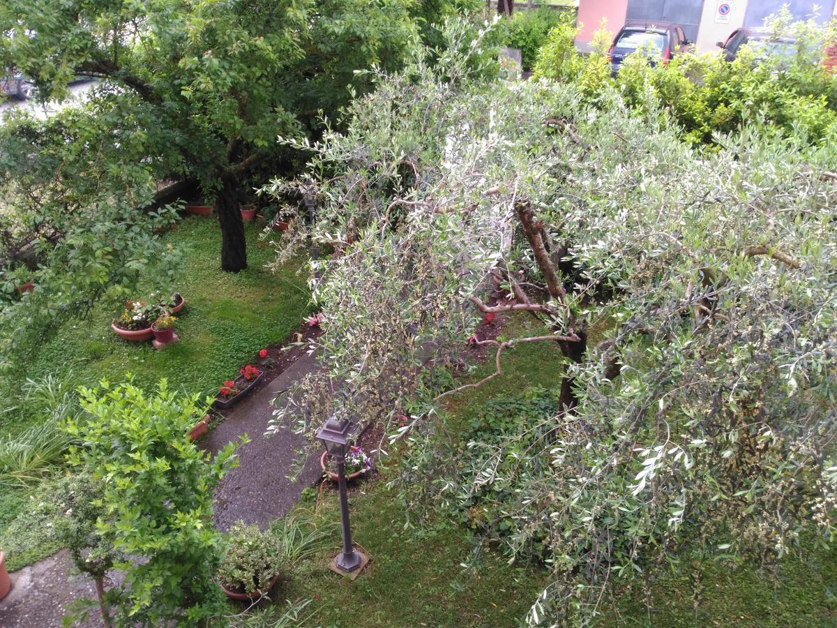 Guest house Angelini