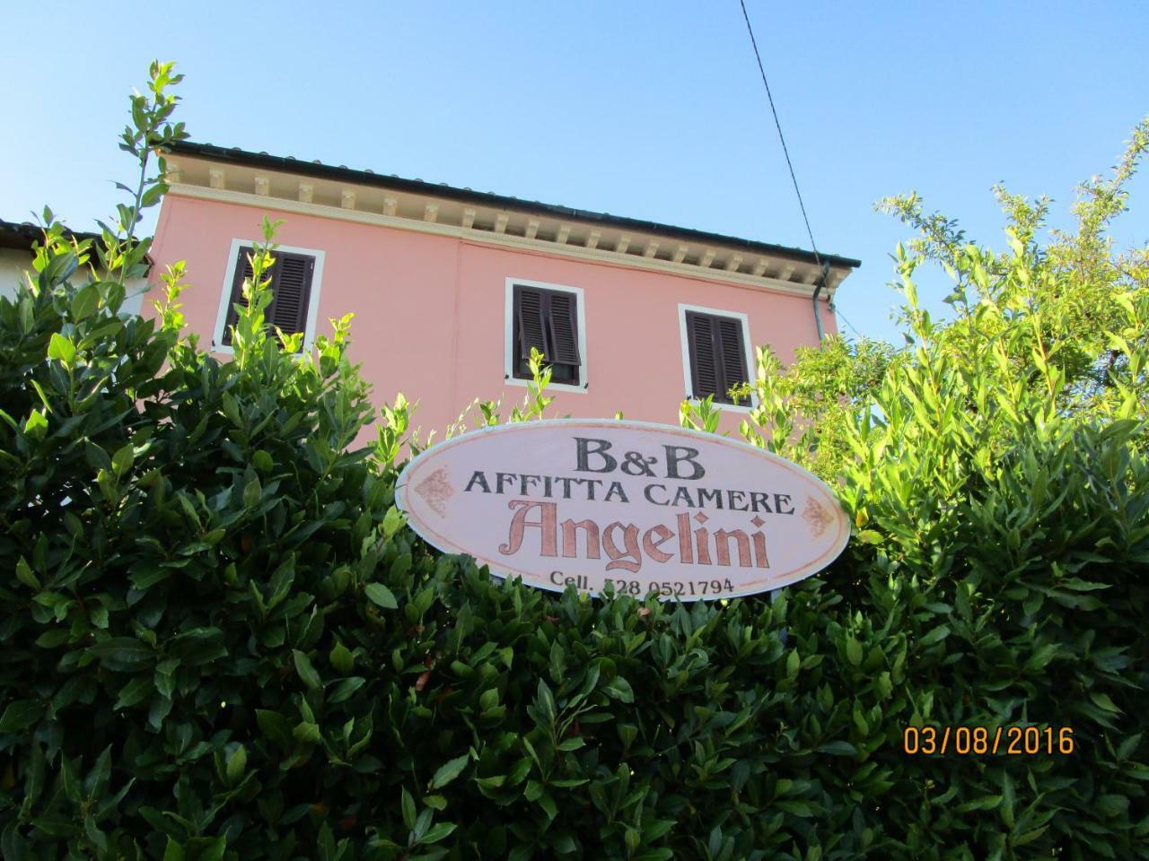 Angelini Lucca